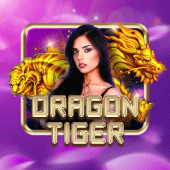 Dragon Tiger 99jili RTP